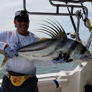 Meet your Posher, David